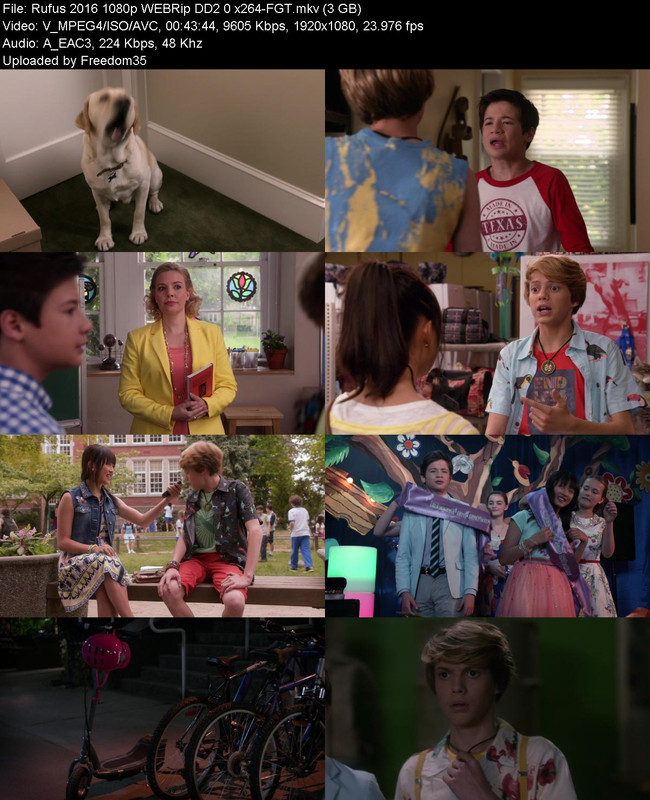 Rufus-2016-1080p-WEBRip-DD2-0-x264-FGT.j