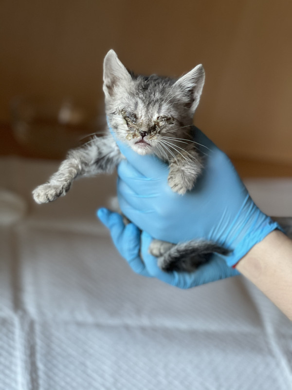 1E327B92-F948-45A8-81C2-E608EB6A85F3