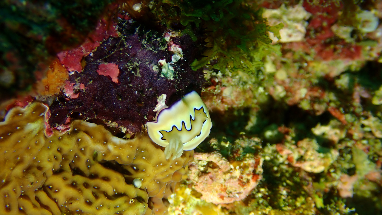 03BA9908-F3D7-4568-90C8-9D818B739E0C