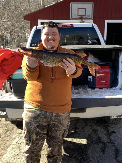 4 lb pickerel