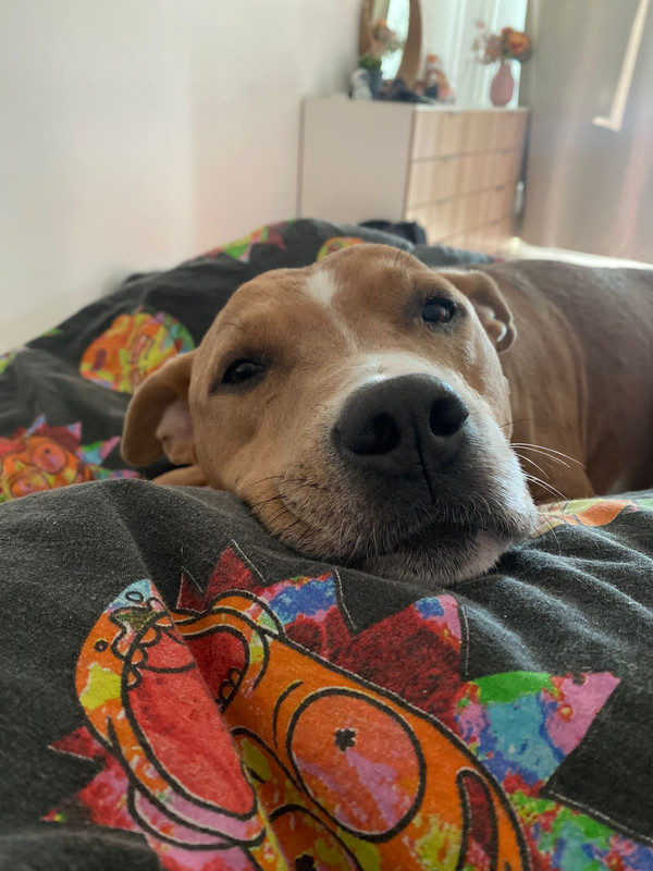 E29F26DD-7EC3-4D64-AAF5-956C14BA1348