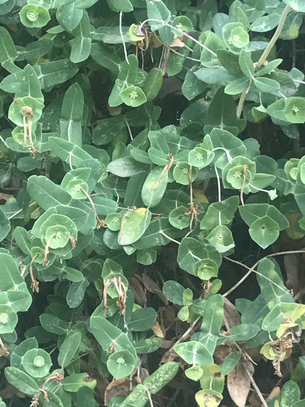 D3C62523-BAA3-4CB6-8A08-24C3BAF21C36