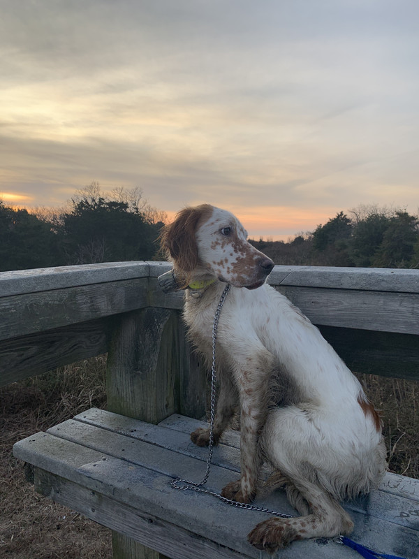 75B0177B-CB23-4374-8415-215E01765439