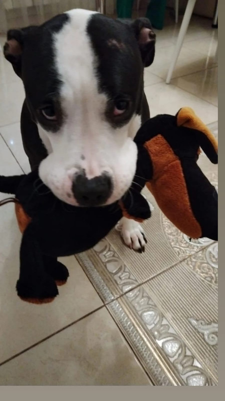 29479669-1348-4EFB-8156-9F716004DDC9