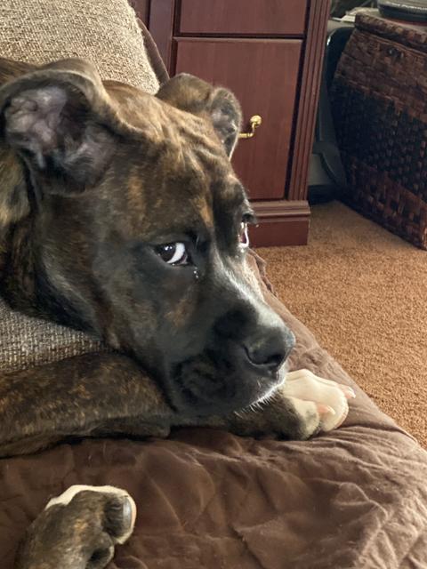 8EC9237D-6D51-4576-9AB3-03EBB7720A77