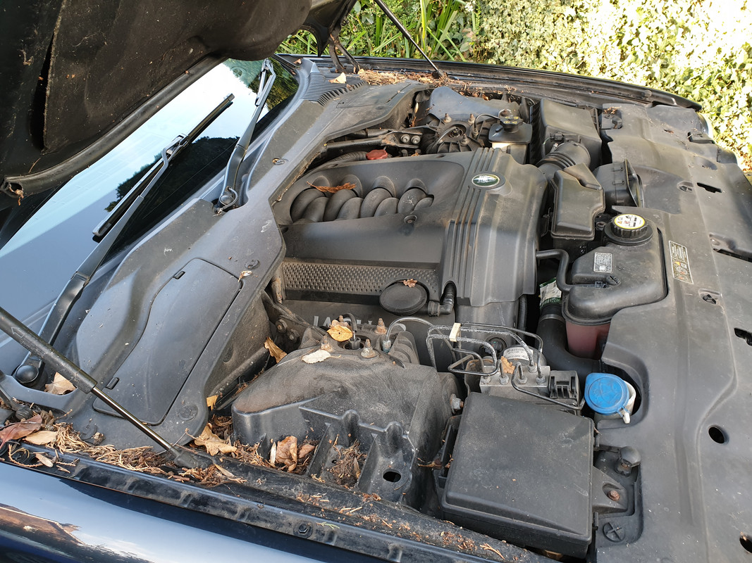 14th-Decenber-2019-Engine-Bay-606.jpg