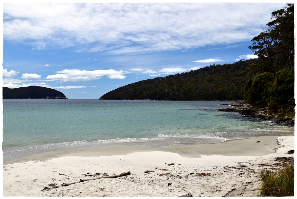 Australia (II): Recorriendo Tasmania - Blogs de Australia - Tasman National Park (13)