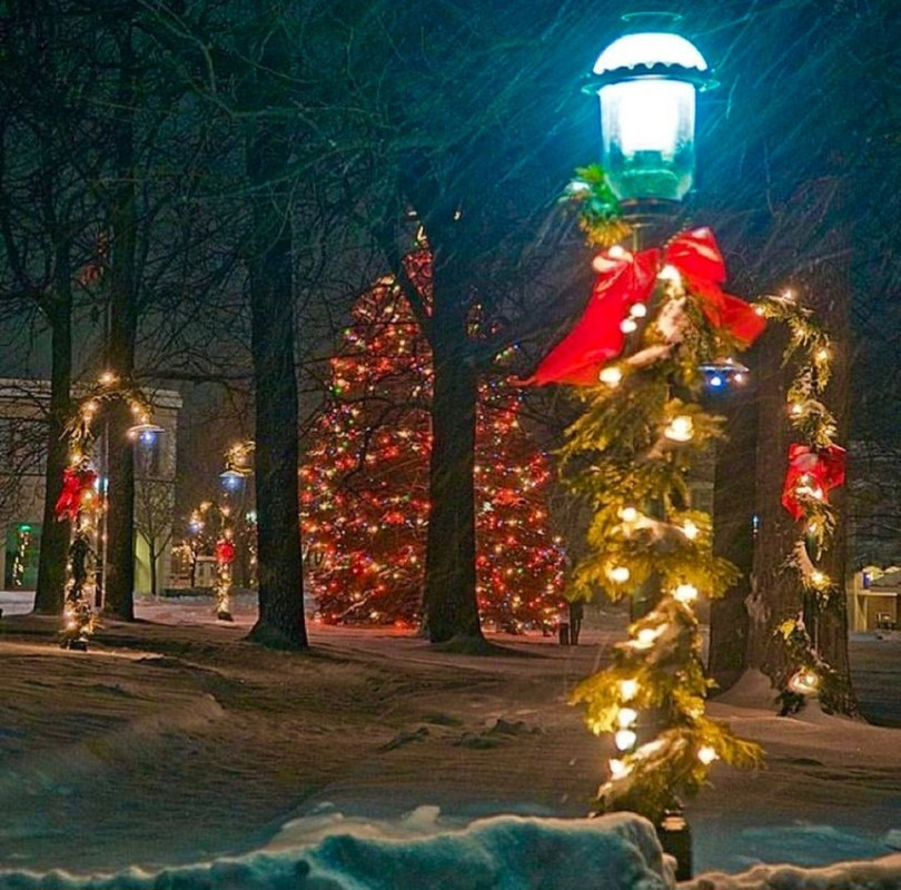 Screenshot_20231108_202715_Instagram