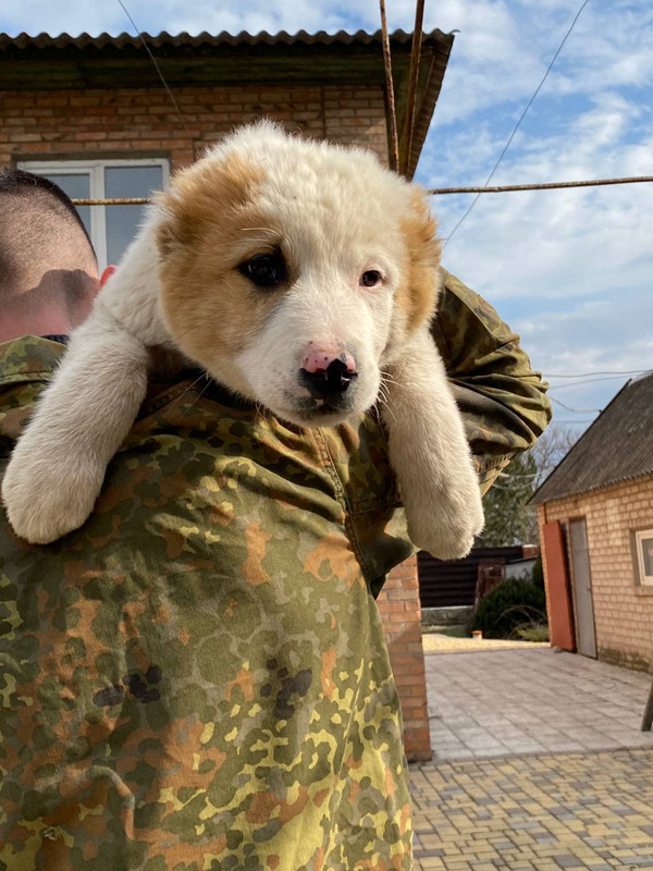 76ADFC34-3704-4B79-9636-F90FA074123A