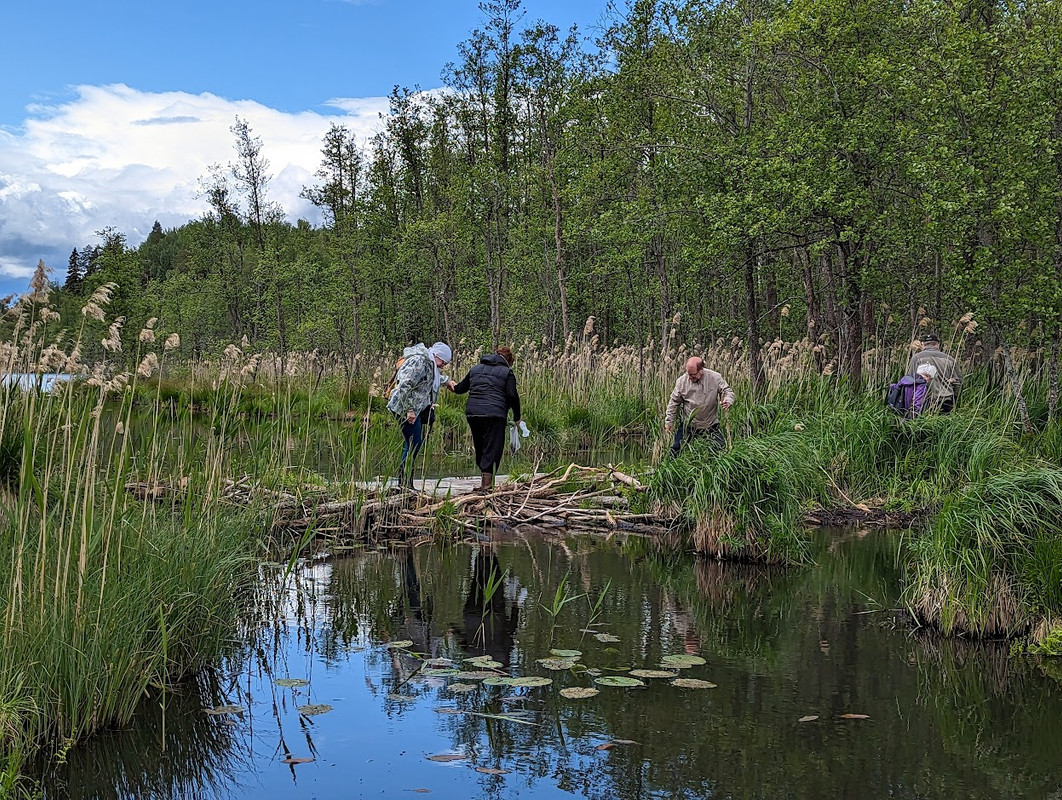 PXL_20230603_110713517