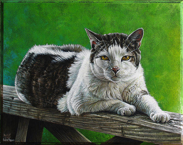 06-punkin-doodle-cara-bevan-003