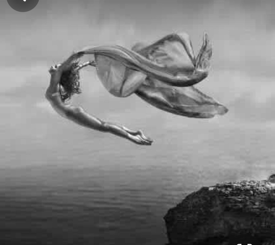 Screenshot_20231128_193753_Pinterest