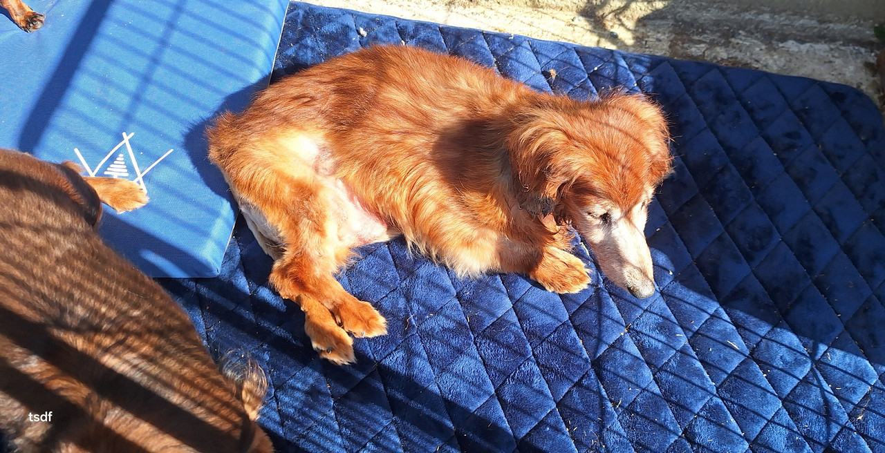 [Image: 20250501-102154.jpg]