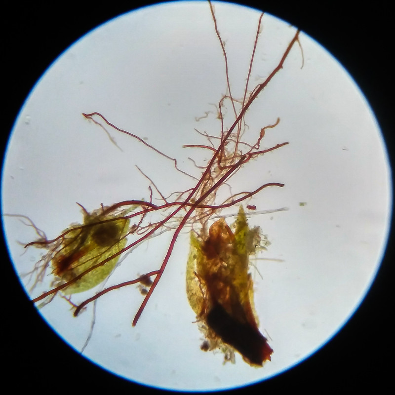 IMG 20250617 114710 HDR