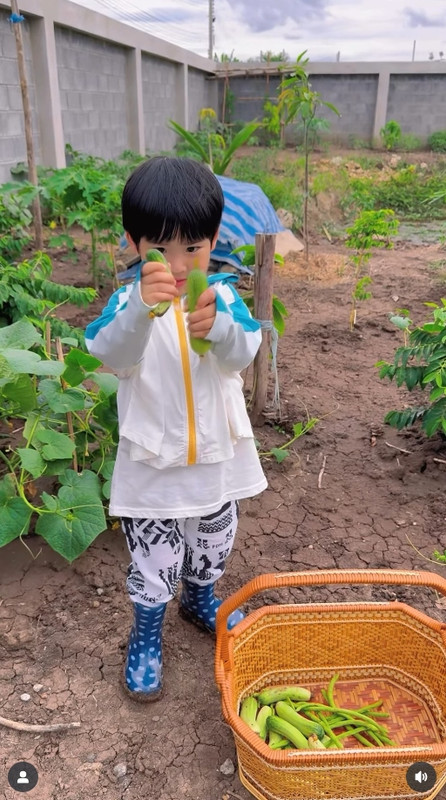 gal-9807354-20250625055025-f73860f