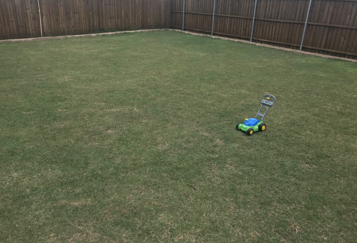 Screen Shot 2020-06-16 at 12.38.31 PM