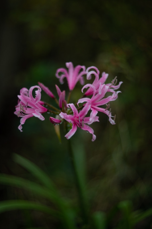 IMG-9e8aea5777a7b18dbd6134f0358a9868-V