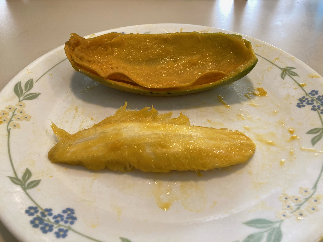 h5