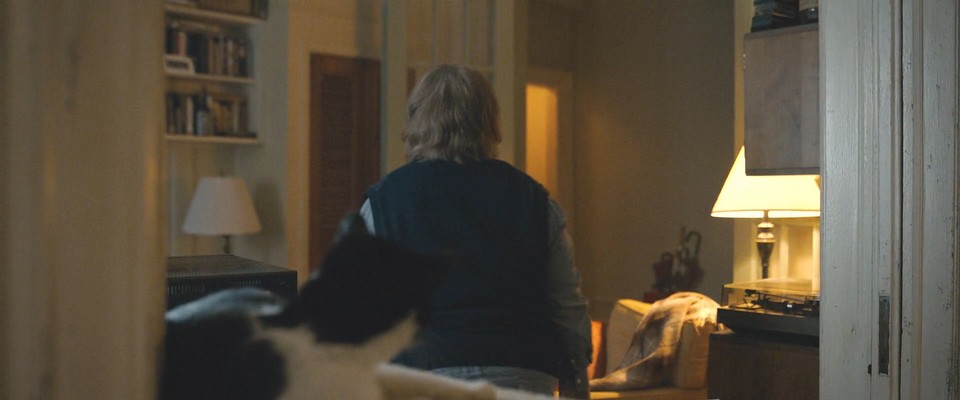 Melissa-Mc-Carthy-s-cat.jpg