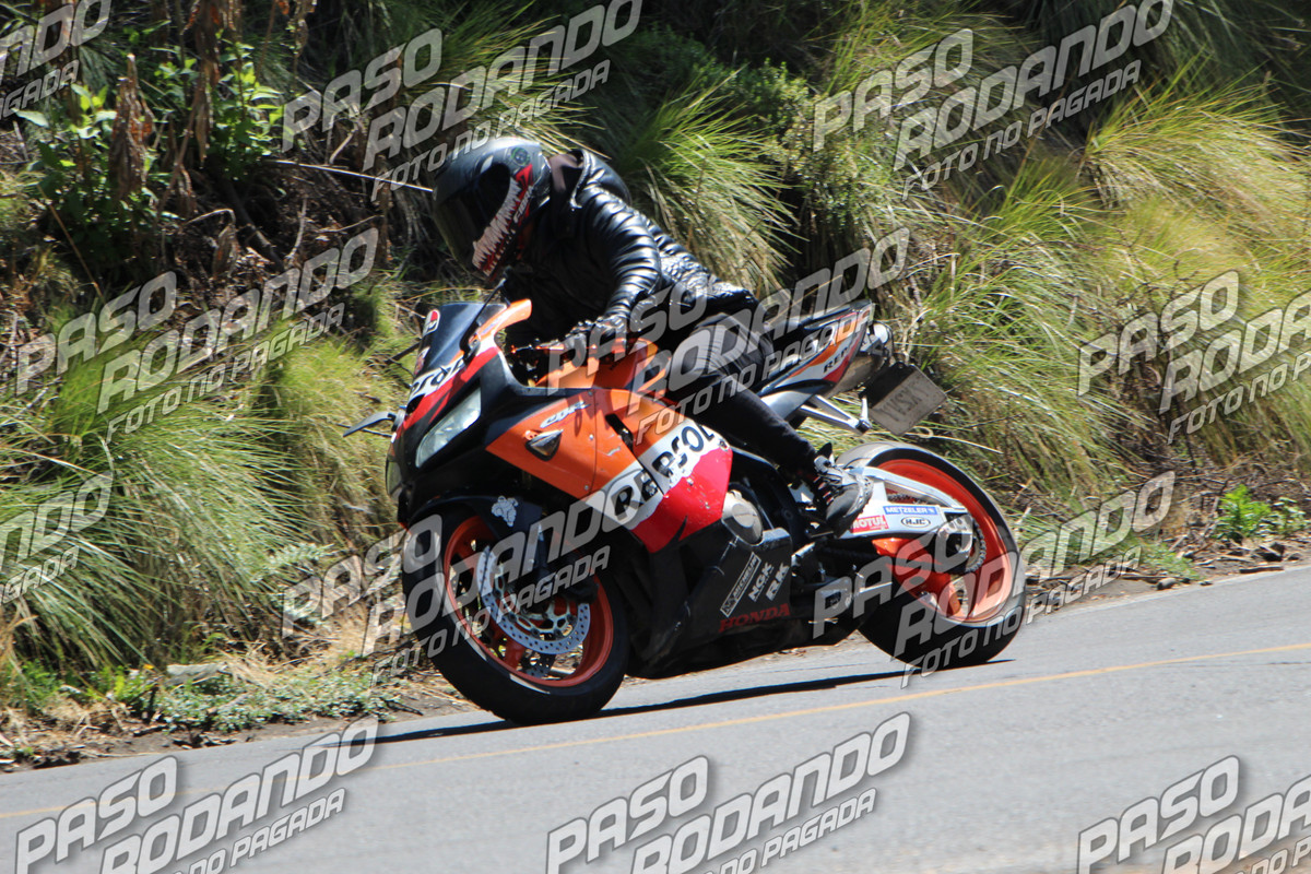 IMG 3442 wm 347531 09999999986 watermarked — Postimages