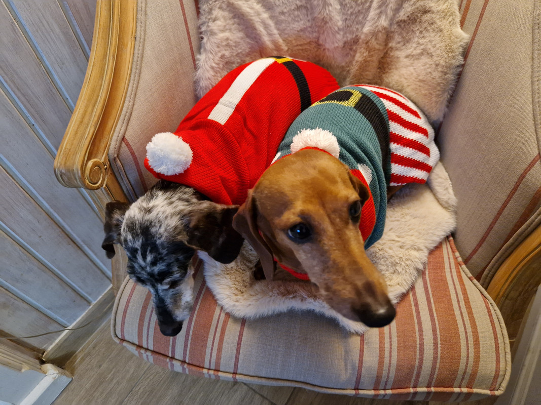 [Image: 20241221-162356.jpg]