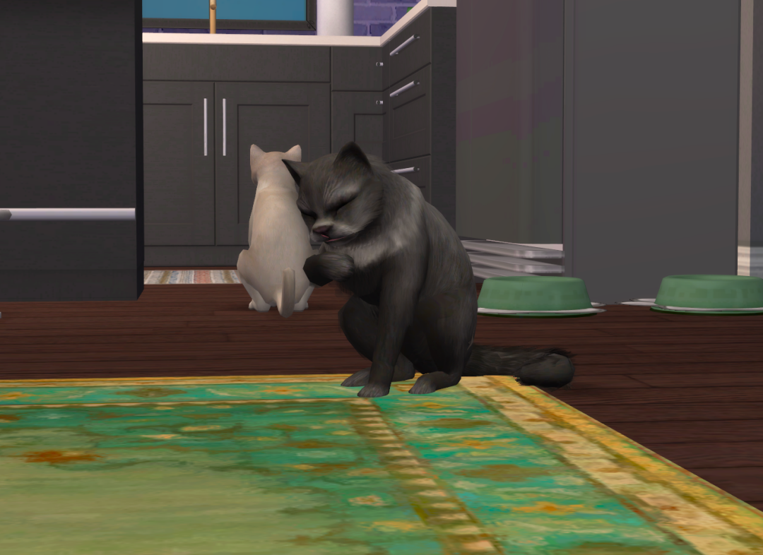 Sims2-EP9-RPC-2023-06-17-19-57-04-12