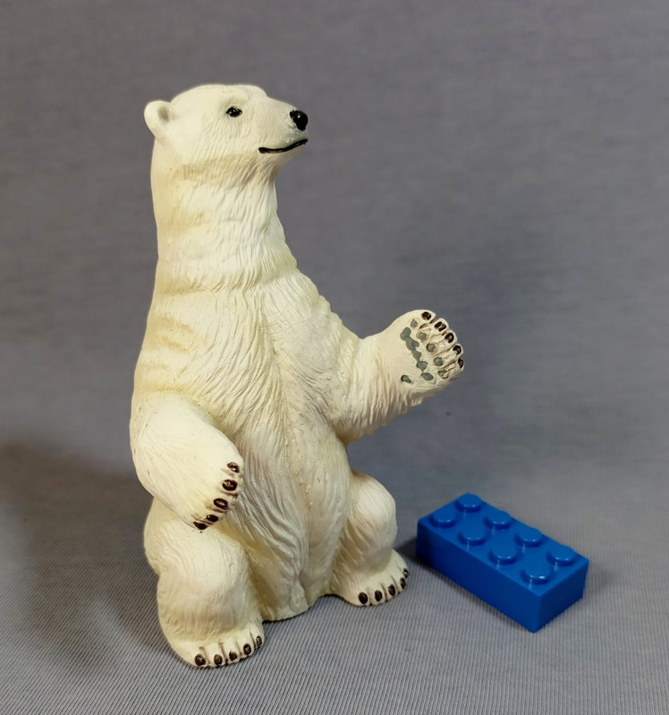 Eikoh - Animal Infinity - Polar bear IMG-20210306-081902