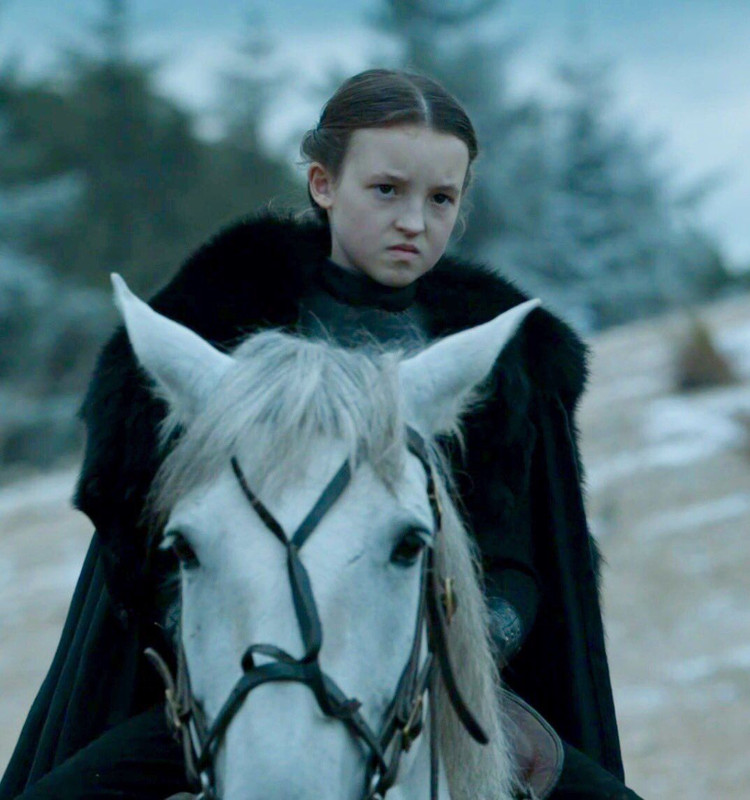 https://i.postimg.cc/8zc8HwRx/Lady-Lyanna-Mormont-astride-a-horse.jpg