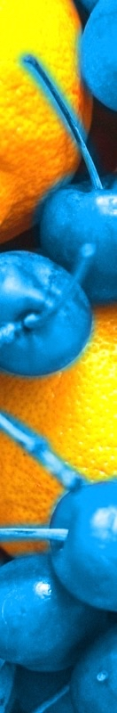 cherry lemons cherry lemons