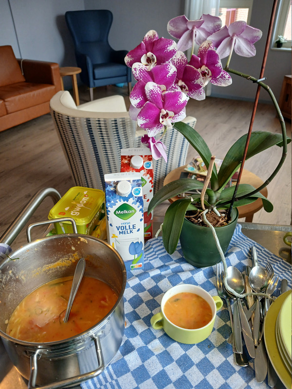 [Image: LVEG-BABI-PAGANG-BAMI-TOMATE-CHAMPROOM-SOEP-260130.jpg]