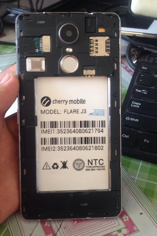 43229045_2082337232082038_1632933109806661632_n