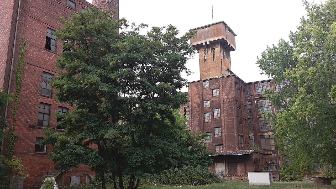 20190907-145531.jpg