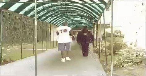 Strik-9ine-3.gif