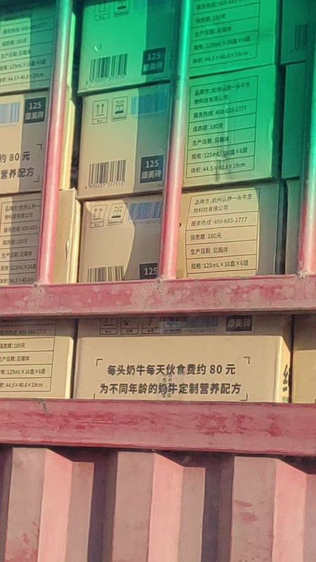 https://i.postimg.cc/8zcNVL9s/imige-19.jpg