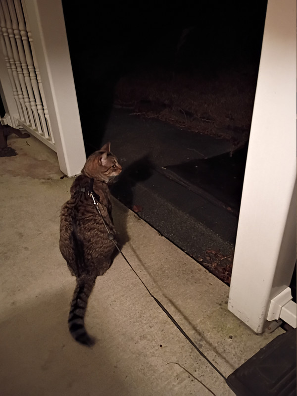 IMG 20260108 204309848