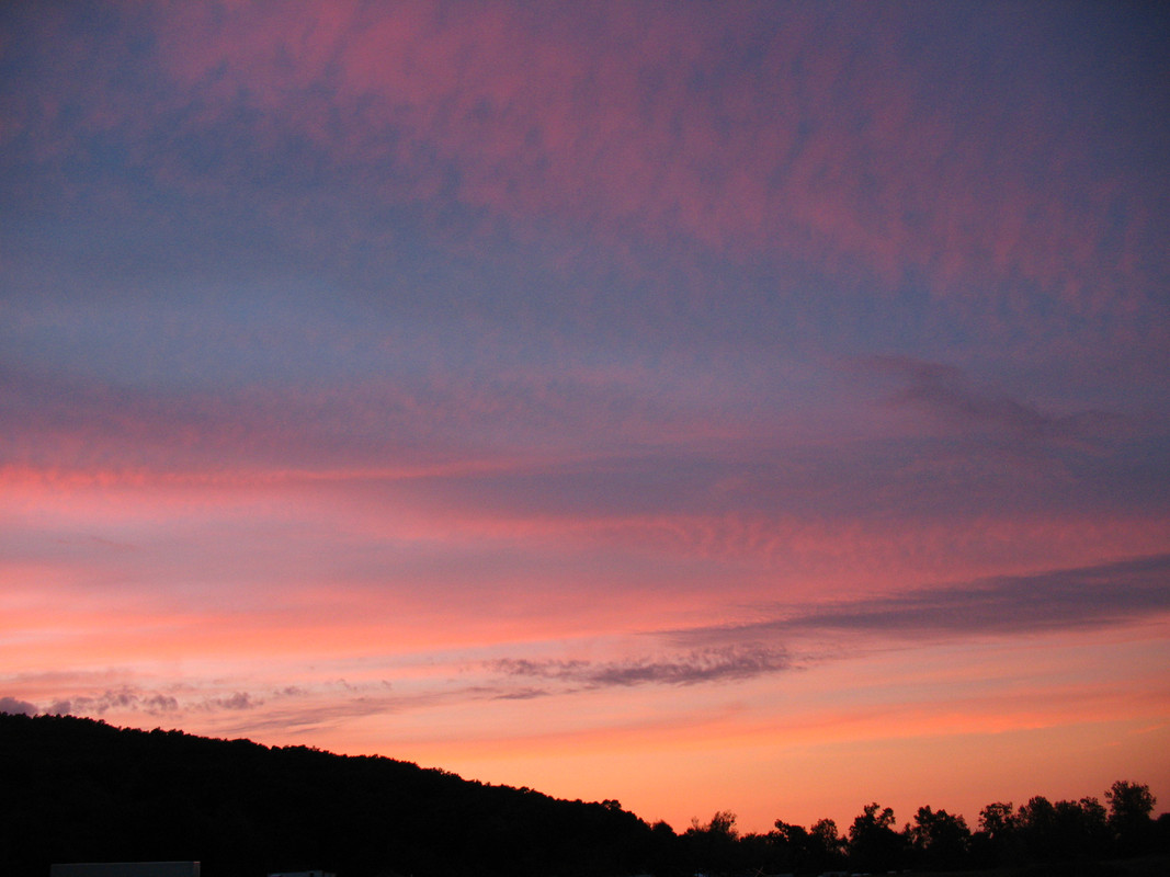 Teknival BG. 2017 (117)