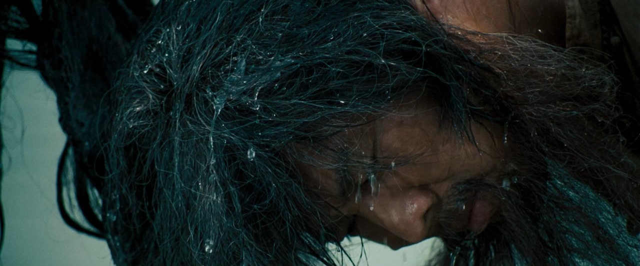 Fearless 2006 DC (1080p x265 10bit Tigole).mkv_s