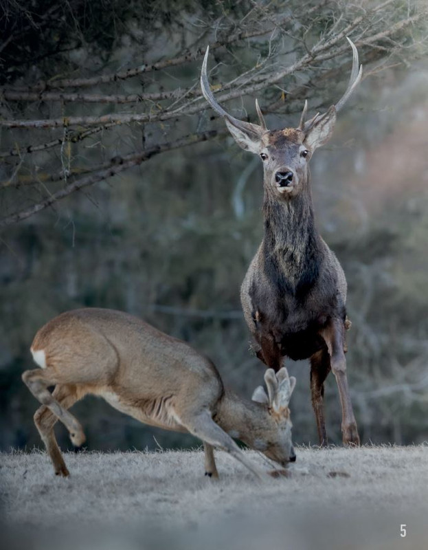 FOTO Cult Apr-Mag 2022 (5)