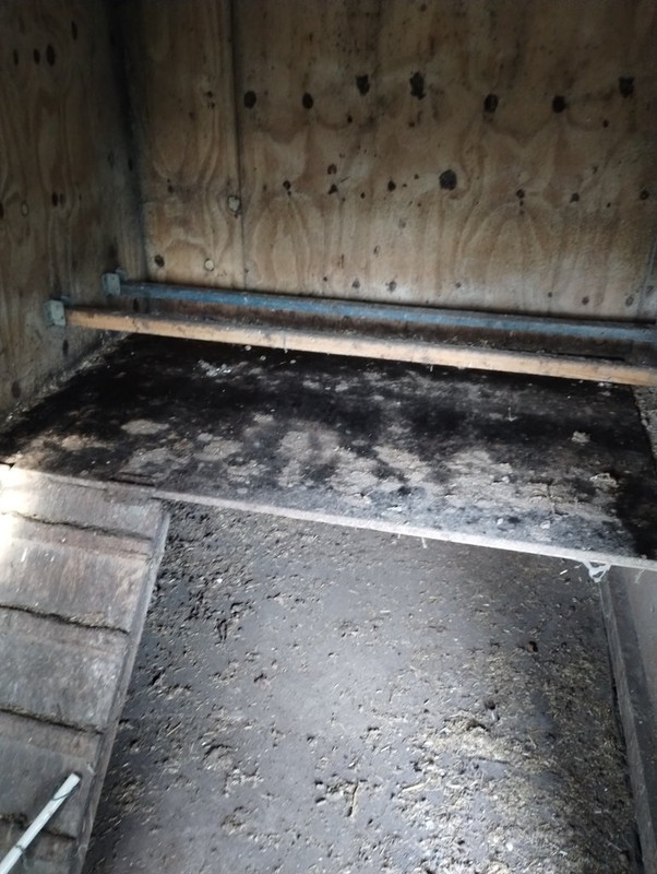 IMG_20250203_143153969