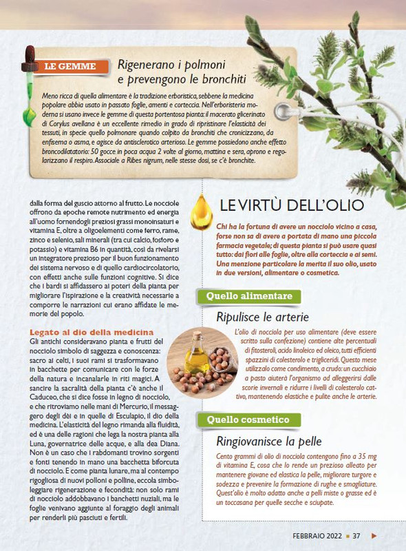 Sal Nat Feb 2022 (6)