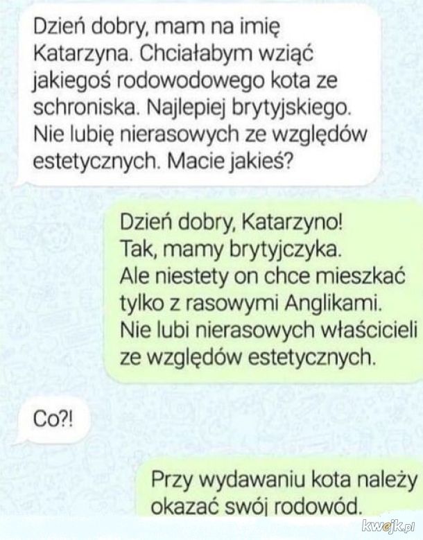 humor.jpg