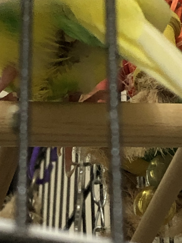 D7A3FDDA-789B-46FE-91E2-6D56FC80E847