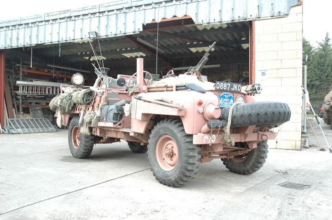 LandyS2aPinkieYoung (27)