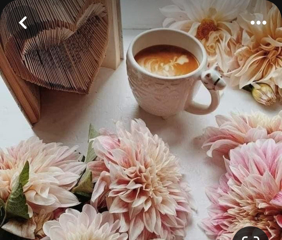 Screenshot_20230905_015203_Pinterest