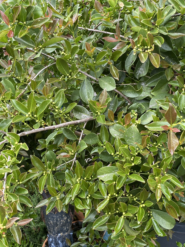 E59CA7E1-D5AC-4979-A524-BC565BBA7AE7