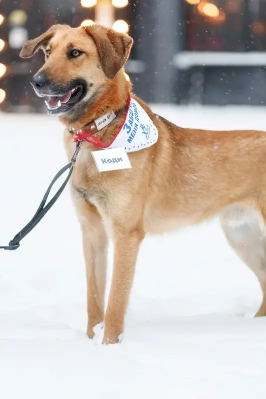 qnDiTaAWDlmGWWw7rBD2e8n-w3AV5HyT_Ks_FH-YxpMfkr4V2Z6yb-dM-EtTUKGZHDjnfSHagFYdRIixTONcHg==?uid=0&filen