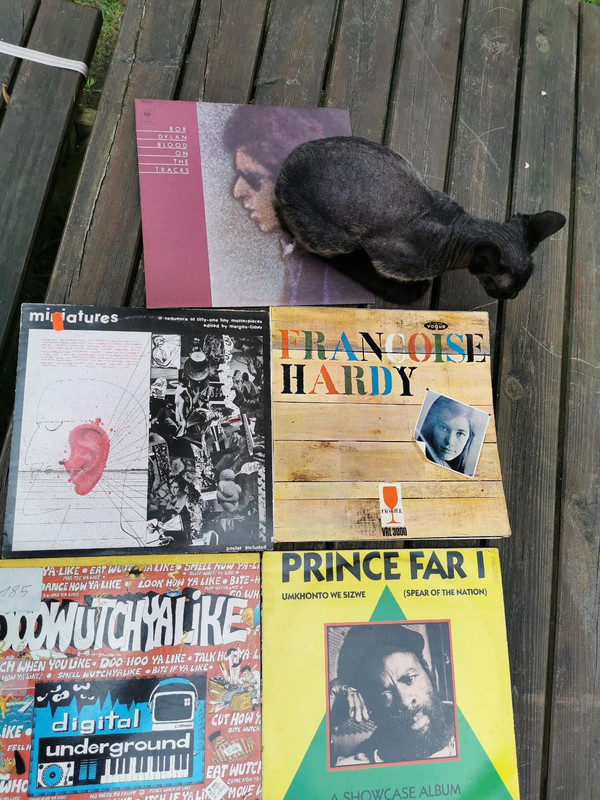 386FF592-0406-485A-858F-8B14BFBFD268