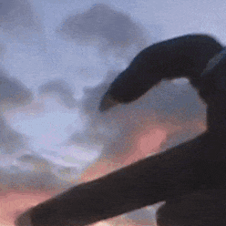 camilasdb4avi8sm.gif