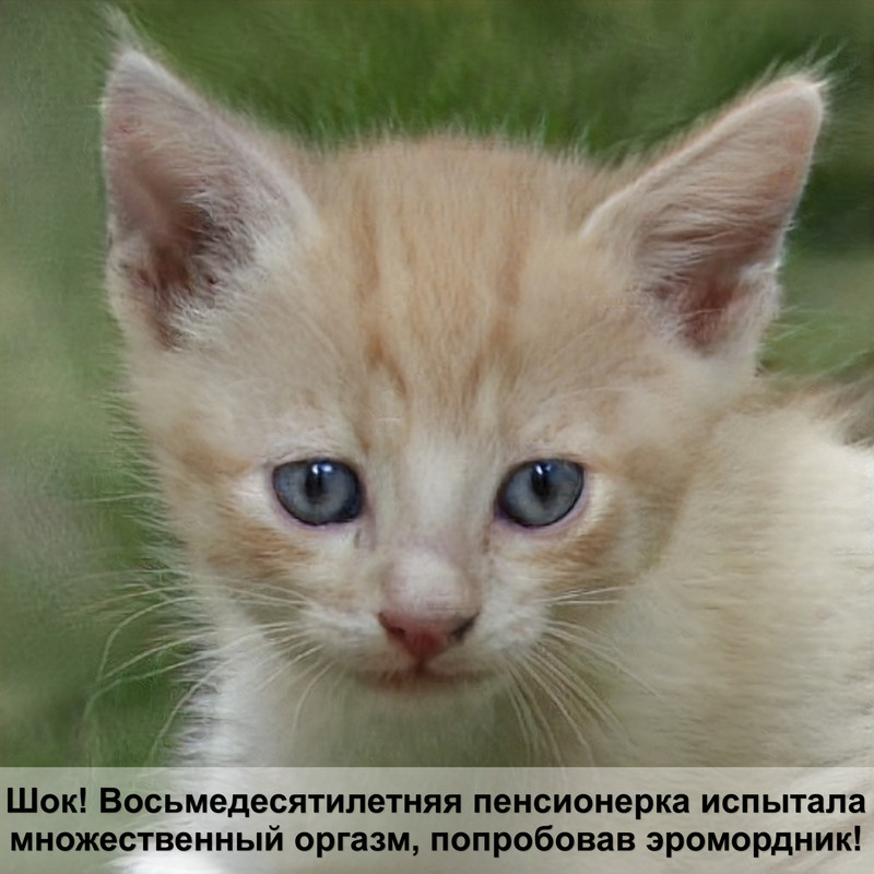 пурина для стерилизованных кошек