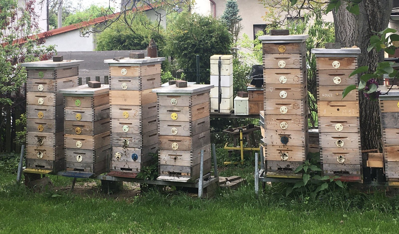 0462BB03-FE79-430F-B763-C156BB93A011